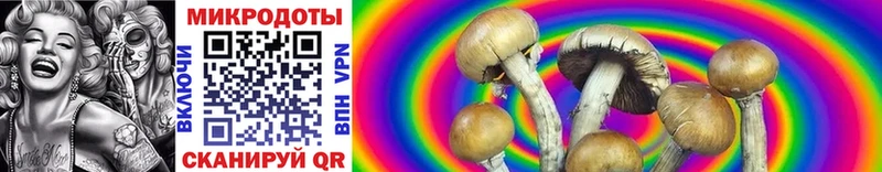 Купить закладки  Мантурово  Галлюциногенные грибы Cubensis 